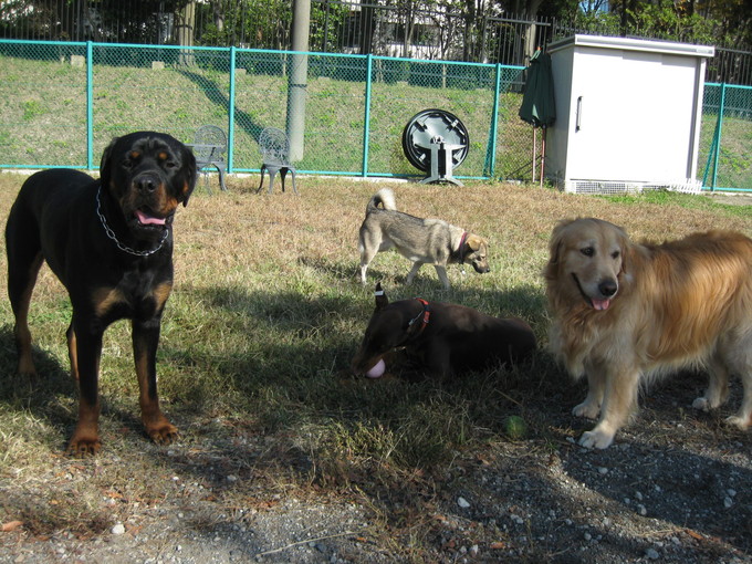 f0230380_2131318.jpg