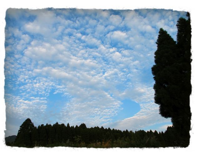 e0132881_13432954.jpg
