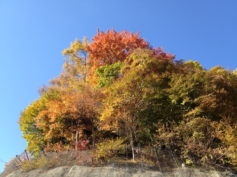 a0216086_13574449.jpg