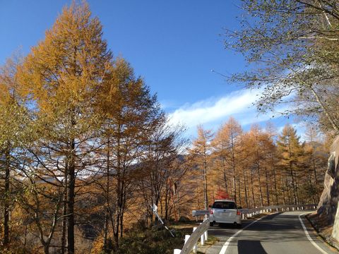 a0216086_14191528.jpg