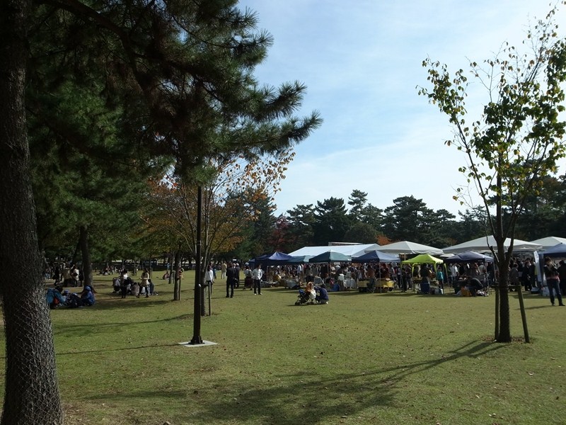 e0271890_15718.jpg