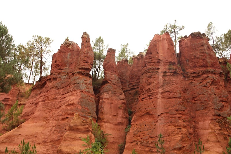 f0044892_428842.jpg