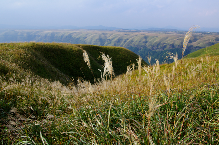 e0079696_2152196.jpg
