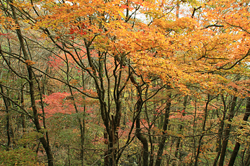 b0014607_214303.jpg