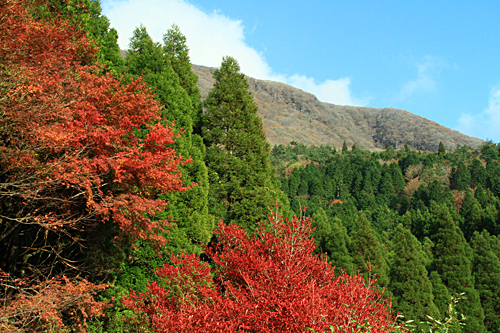 b0014607_21432065.jpg