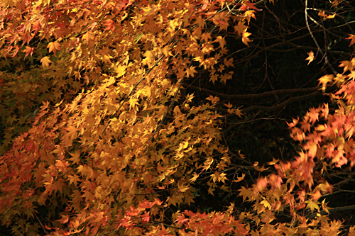 b0014607_2144048.jpg