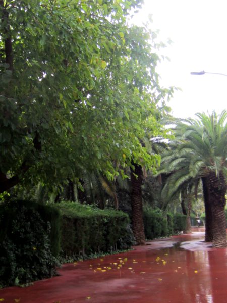 b0064411_336065.jpg