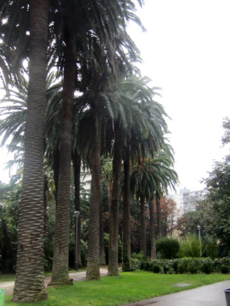 b0064411_3384241.jpg