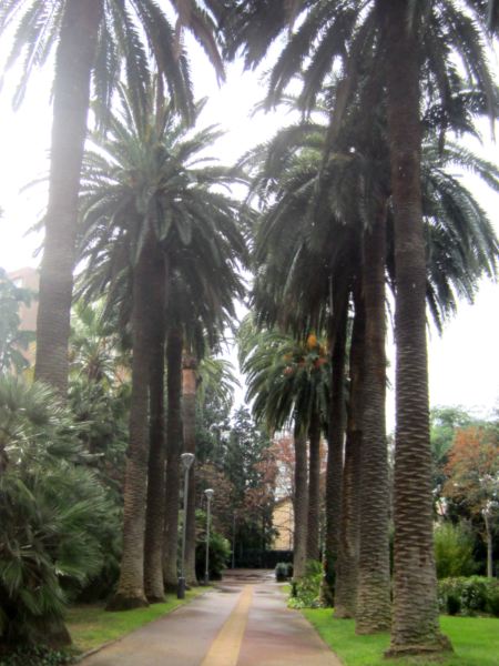 b0064411_3385120.jpg
