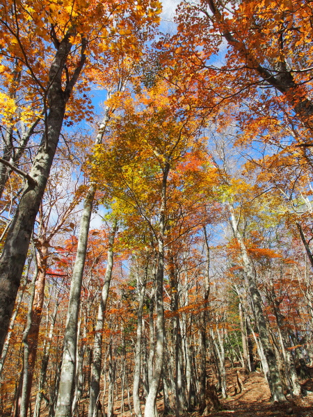 b0244811_22485668.jpg