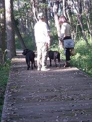 c0240318_2322241.jpg
