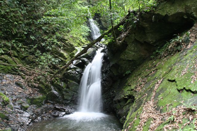 e0284019_2181314.jpg