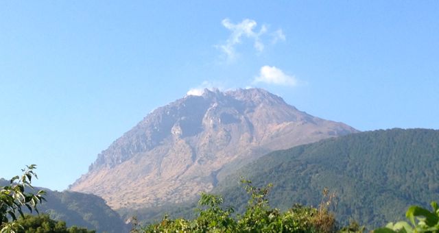 f0100920_10142854.jpg