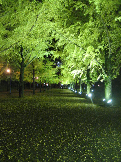 f0139520_20381171.jpg