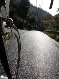 c0189724_1749182.jpg