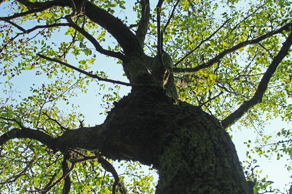 c0104227_10371940.jpg