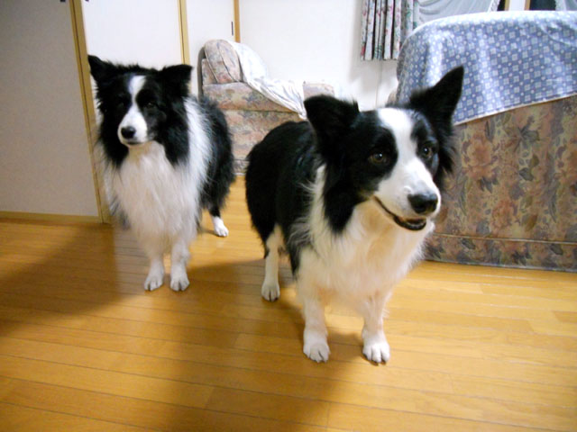 d0059230_8493457.jpg