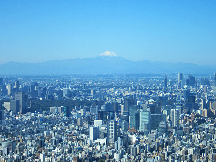 e0025930_1759988.jpg