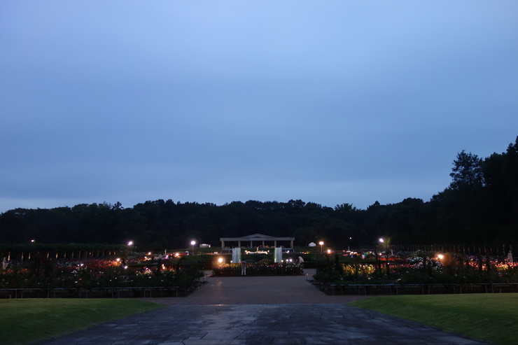 a0287336_15441318.jpg