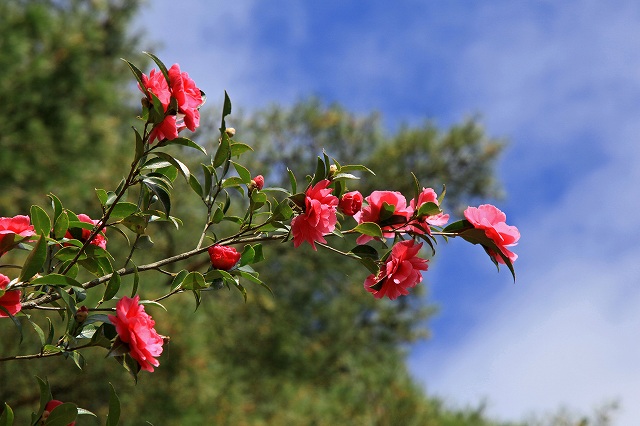 a0242438_19214738.jpg