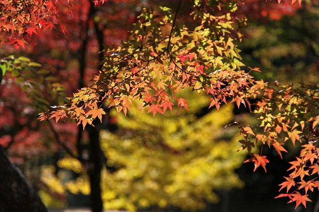a0242438_19232769.jpg