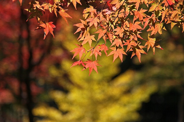 a0242438_19235611.jpg