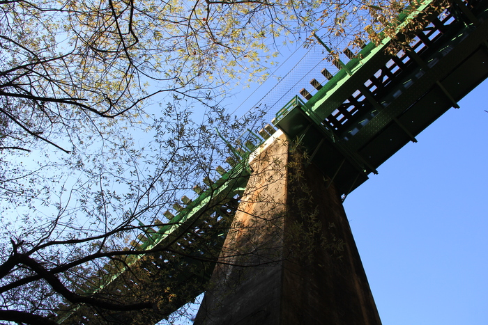 e0227139_234266.jpg