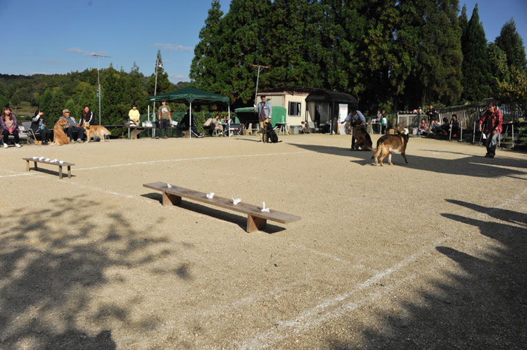 b0075541_9134299.jpg