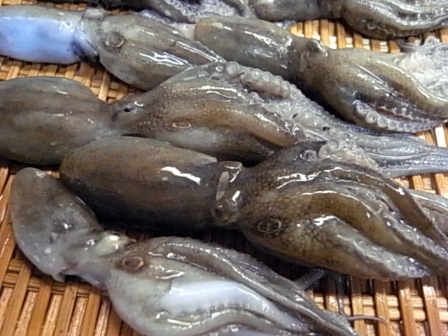 e0007544_0504639.jpg