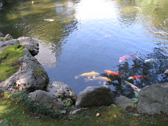 b0032346_15461758.jpg