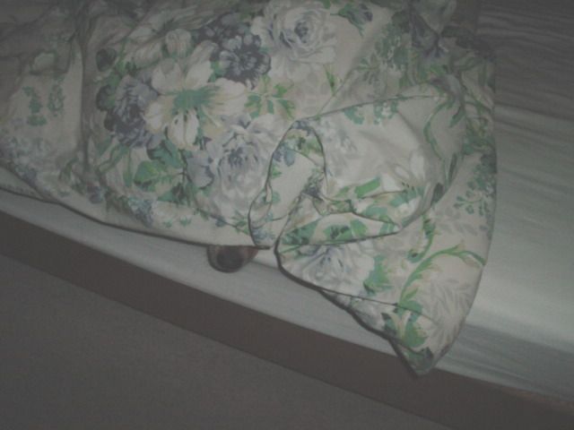 c0134850_2252143.jpg