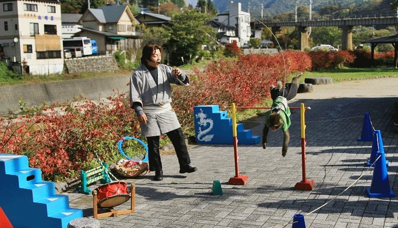 c0145250_155779.gif