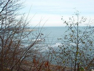 e0004756_20221470.jpg