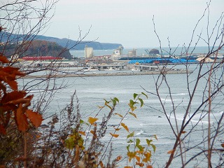 e0004756_20265548.jpg