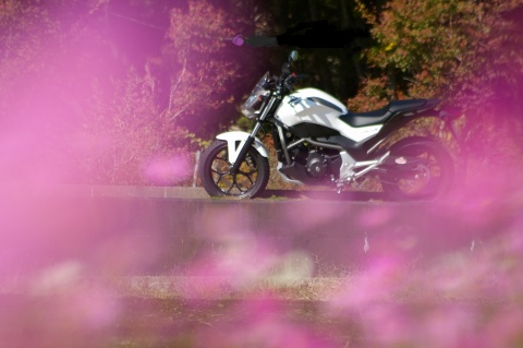 e0045768_21561361.jpg
