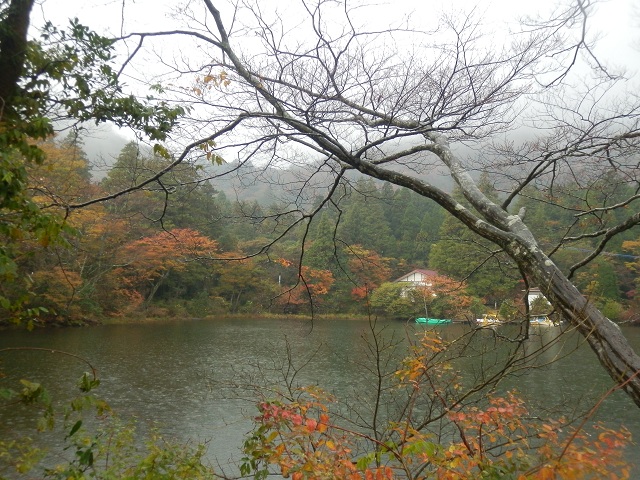 c0042869_19224229.jpg