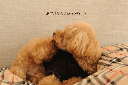 c0196673_9292418.gif