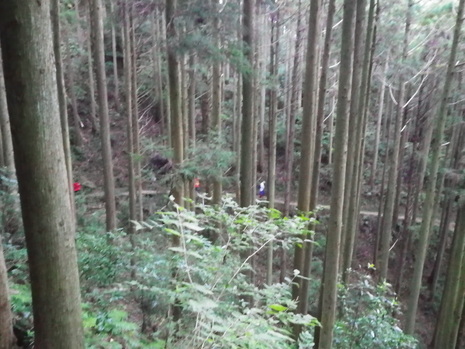 c0019376_21573038.jpg