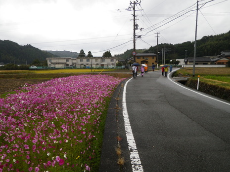 c0019376_22174154.jpg