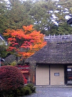 a0079878_1834722.jpg