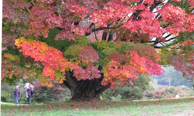 a0091680_1140516.jpg