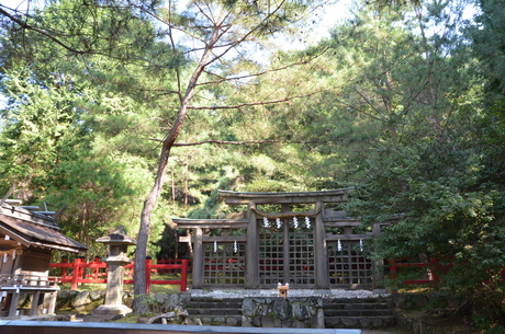 a0252287_073987.jpg