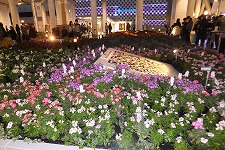 b0097689_23493262.jpg