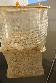 b0128589_1433664.jpg