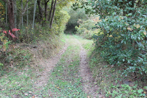a0234491_13415564.jpg