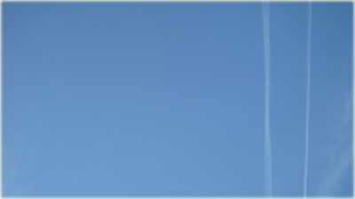 c0154095_115899.jpg