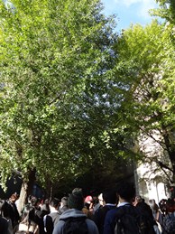 b0146196_1748687.jpg