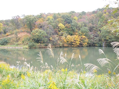 c0187298_21184335.jpg