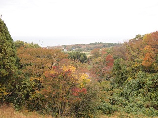 c0187298_2120462.jpg