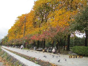 e0122199_2044266.jpg